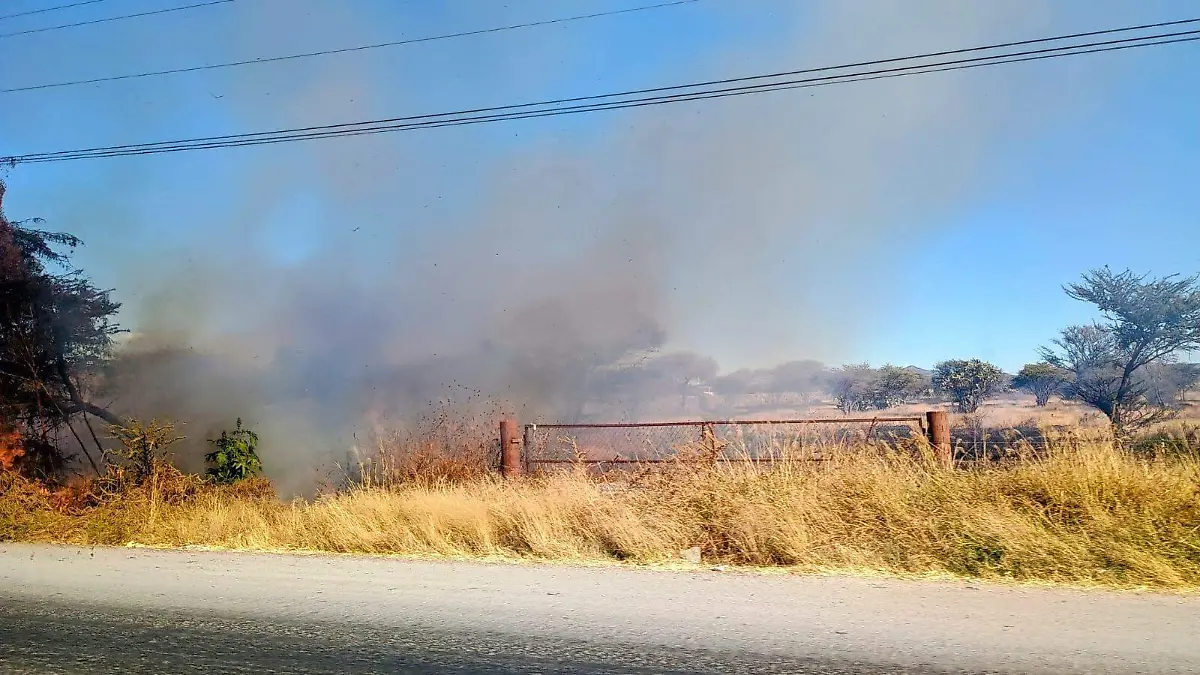 Incendios forestales